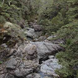 Kurzer Walk am Arthurs Pass