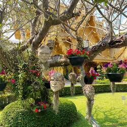 Gollum Blumentopf 😅