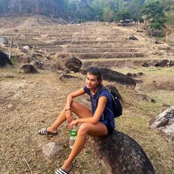 Wenn auf einem Reisfeld kein Reis ist 😭