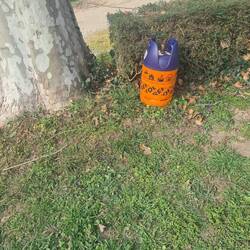 Noch mehr Farbe... ein Findelkind sucht ein Zuhause