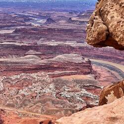Amazing capture of the ghost horse