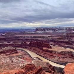The ghost horse and the gooseneck