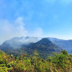 Im Moment ist Burning Season und die Bauern brennen ganze Felder ab 🔥