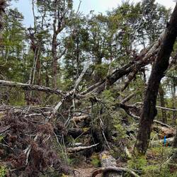 Voici à quoi ressemble parfois le trail...