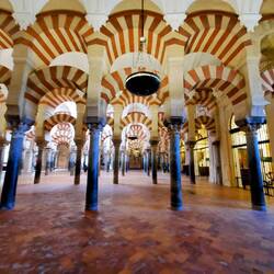 Most of the space of the Mosque Cathedral looked like this