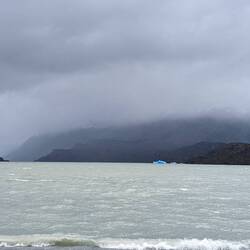 Calved icebergs from the Grey Glacier