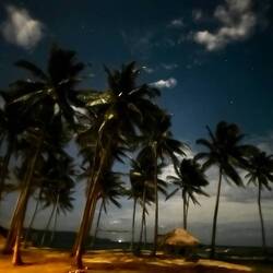 Gute Nacht Bulalacao