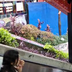 Auf Rolltreppen durch die Communa 13