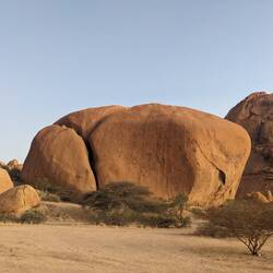 A gigantic boulder that hosted a lot of bird nests in the crack.