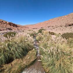 San Pedro ist eine Oasen-Stadt und wird u.a. von diesem Fluss versorgt