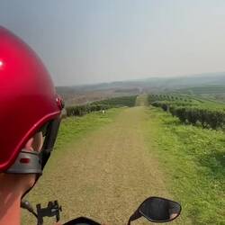 Wieso ein Quad, wenn man einen Leihroller hat 🛵