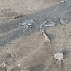 Und das zur Stimmung in unseren Weltmeeren....