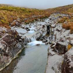 Und da fängt der Taranaki schon an.