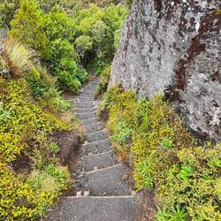 Jetzt nur noch dieeeese Stufen runter.