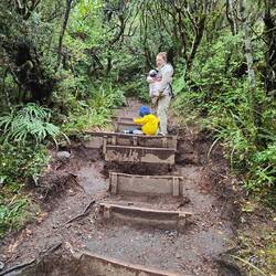 So, und nun geht's die vielen Stufen wieder hoch.