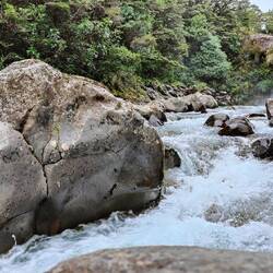 Vorne rechts hat Gollum seinen Fisch verspeist.