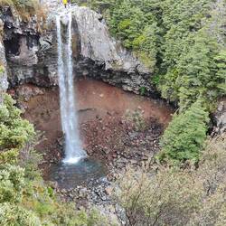 Dagegen waren die Mangawhero Falls weniger imposant, dennoch beeindruckend.