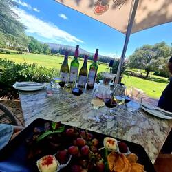 Entspanntes Kaffee & Wein Tasting in Nederburg