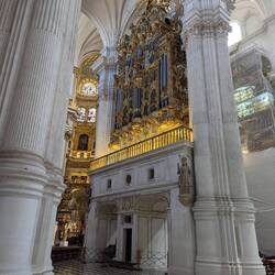 Organ of the Cathedral