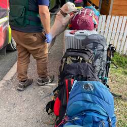 Zweiter Durchgang beim Schnüffeln! Der chilenische Zoll nimmt es ganz genau!