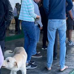 Der Hund erhält Essensreste, die man nicht nach Chile mitnehmen darf. Mann mit Flip Flops!!!!!!