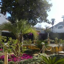 Small garden