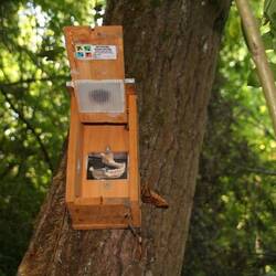 Unser erstes "Vogelhäusschen" Versteck