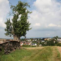 "Eine schöne Aussicht Teil 2"