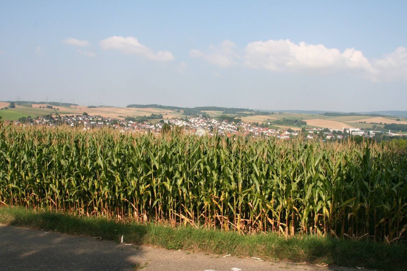 "Blick I - "Eine bereinigte Sicht""