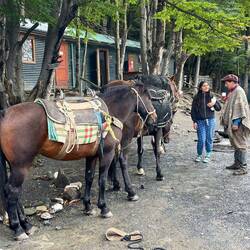 Der chilenische Huaso (Gaucho) transportiert auch Gepäck von Camp zu Camp.