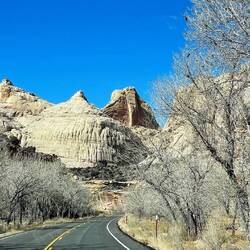 Some of the orchards in Fruita section of Capitol Reef