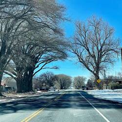 Main street of Torrey