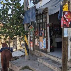 Erstmal mit Pferd zum Kiosk reiten 😄