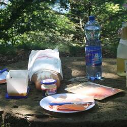 Picknick muss sein.