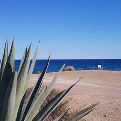 Fast wäre das unser Stellplatz geworden