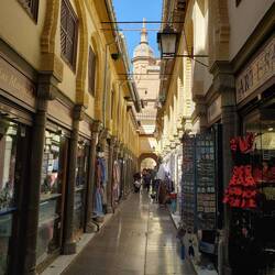 La Alcaicería Shopping street with the Cathedral behind it