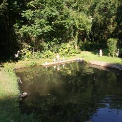 GC2ZCHJ Meckser Fischweiher