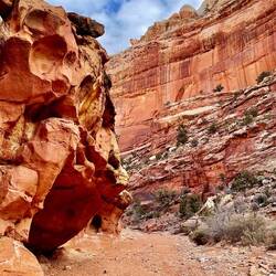 The little caves carved out in the rocks