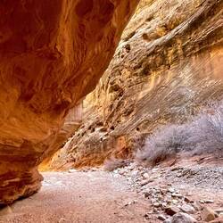 The overhang of this rock carved out by the water