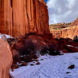 Footprints in the snow