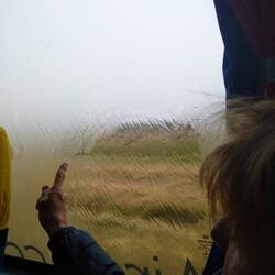 Es gibt draußen nichts zu sehen!