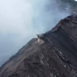 T'inquiète mamie je risquais rien ! 😂
