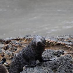 Und die lieben Kleinen 😍