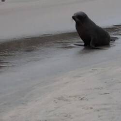 Denen hier geht's hingegen ziemlich gut🙂