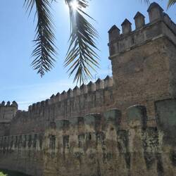 Roman wall with Arab additions