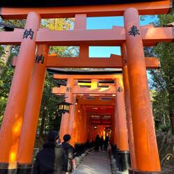 Fushimi Inari Taisha Schrein
