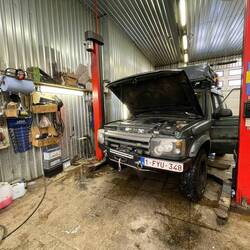 Na wat omzwervingen belandde Wilma hier...