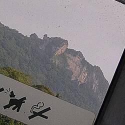 Siehst du das schlafende Nashorn?