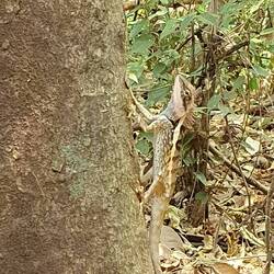 hello friend