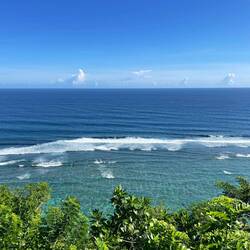 Greenbowl pantai